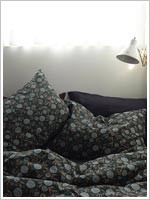 ��ǰ ������