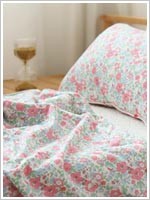 ��ǰ ������