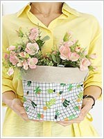 ��ǰ ������