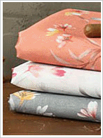 ��ǰ ������