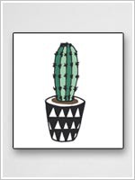 ǰ 